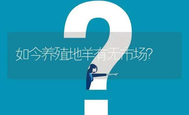 如今养殖地羊有无市场? | 养殖问题解答