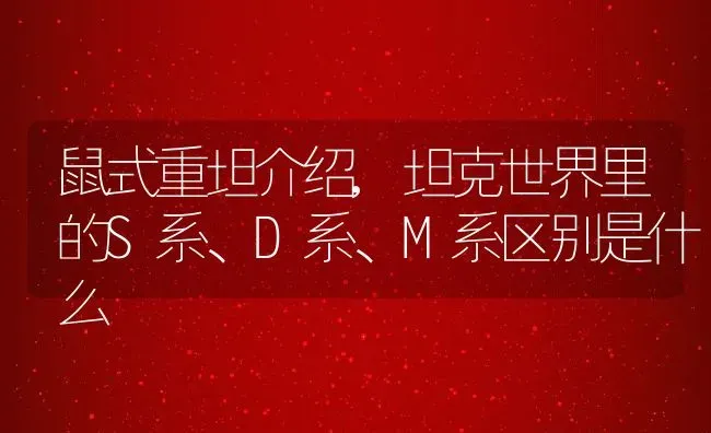 宫灯百合怎么种植和养护,宫灯百合几月份种植？ | 养殖常见问题