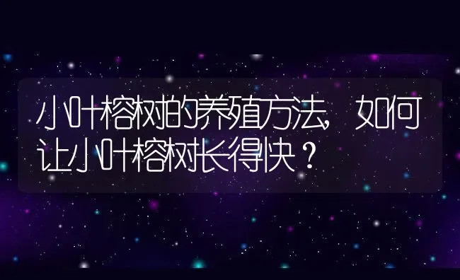 小叶榕树的养殖方法,如何让小叶榕树长得快？ | 养殖常见问题