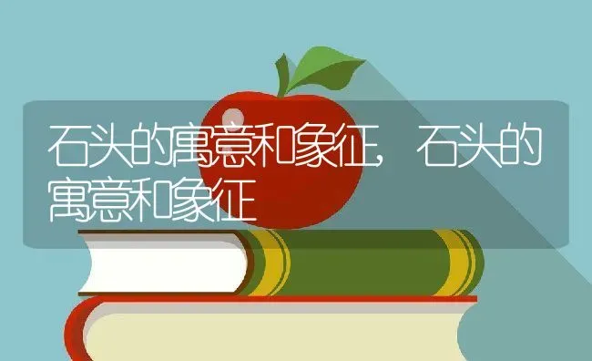 石头的寓意和象征,石头的寓意和象征 | 养殖常见问题