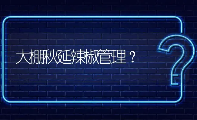 大棚秋延辣椒管理? | 养殖问题解答