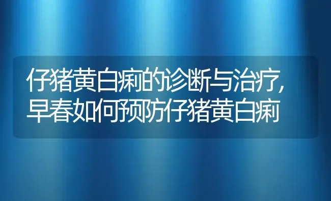 仔猪黄白痢的诊断与治疗,早春如何预防仔猪黄白痢 | 养殖常见问题