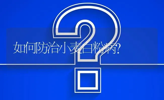 如何防治小麦白粉病? | 养殖问题解答