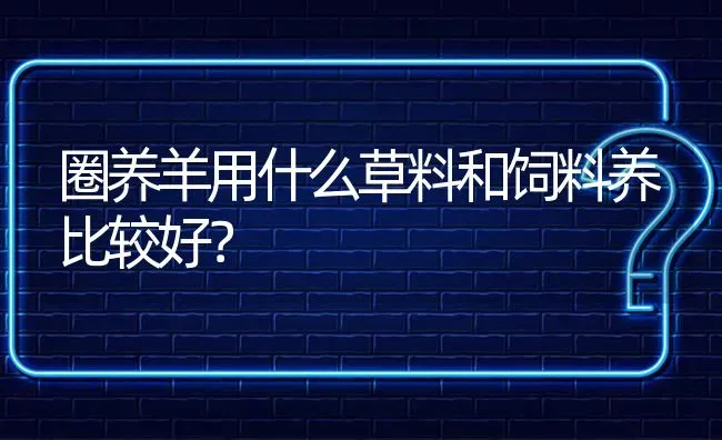 圈养羊用什么草料和饲料养比较好? | 养殖问题解答