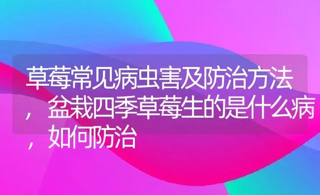 草莓常见病虫害及防治方法,盆栽四季草莓生的是什么病，如何防治 | 养殖常见问题