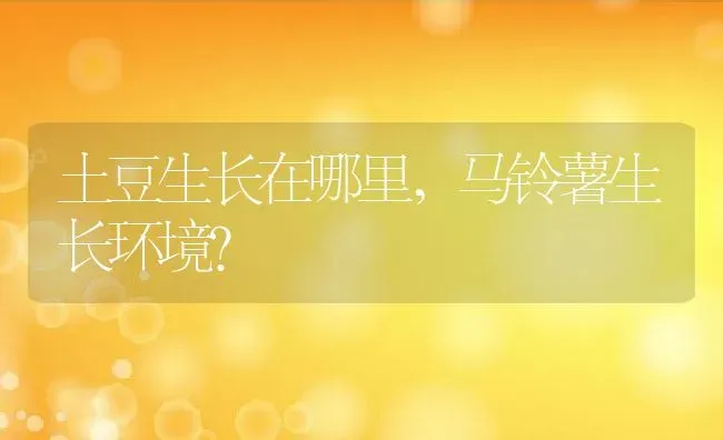 土豆生长在哪里,马铃薯生长环境？ | 养殖常见问题