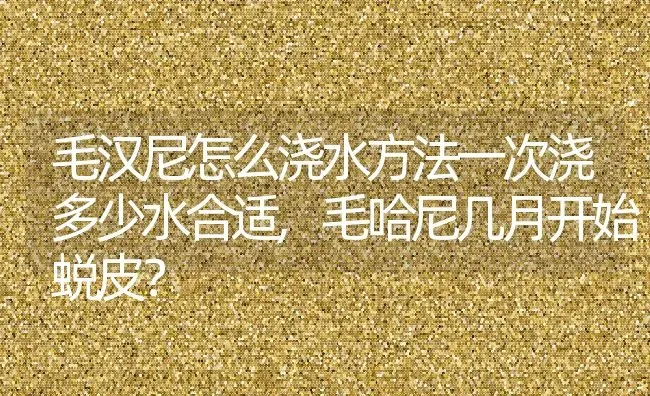 毛汉尼怎么浇水方法一次浇多少水合适,毛哈尼几月开始蜕皮？ | 养殖常见问题