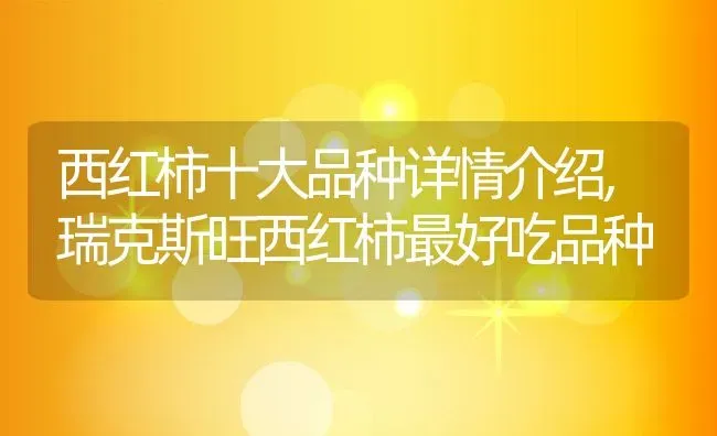 西红柿十大品种详情介绍,瑞克斯旺西红柿最好吃品种 | 养殖常见问题