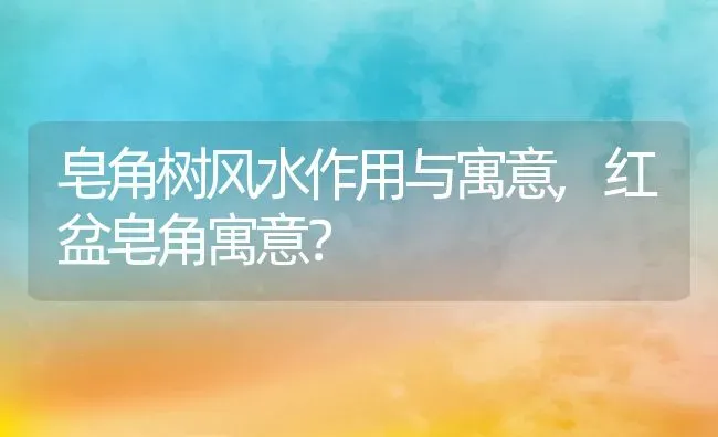 皂角树风水作用与寓意,红盆皂角寓意？ | 养殖常见问题