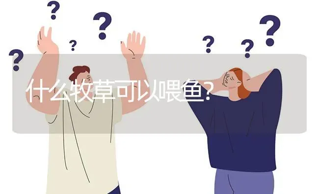 什么牧草可以喂鱼? | 养殖问题解答