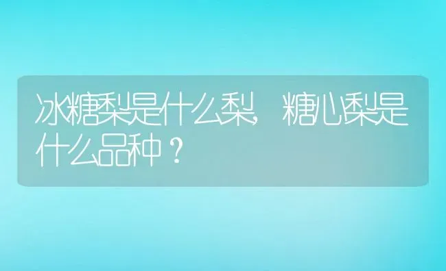 冰糖梨是什么梨,糖心梨是什么品种？ | 养殖常见问题