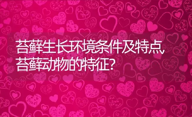 苔藓生长环境条件及特点,苔藓动物的特征？ | 养殖常见问题