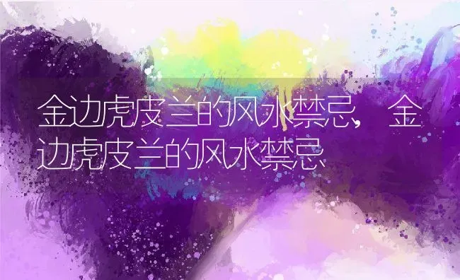 紫花风铃木花期,紫花风铃木扦插方法？ | 养殖常见问题