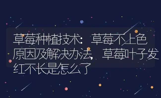 草莓种植技术:草莓不上色原因及解决办法,草莓叶子发红不长是怎么了 | 养殖常见问题