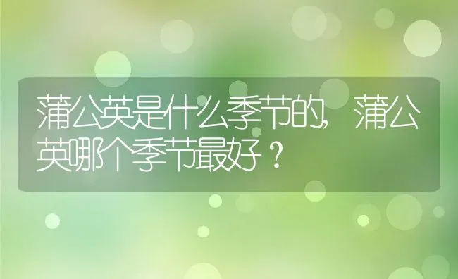 蒲公英是什么季节的,蒲公英哪个季节最好？ | 养殖常见问题