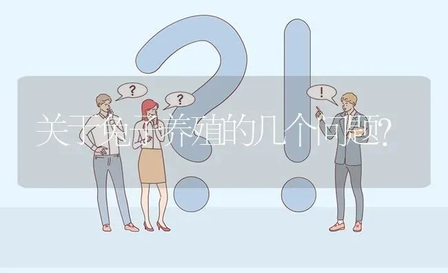 关于兔子养殖的几个问题? | 养殖问题解答