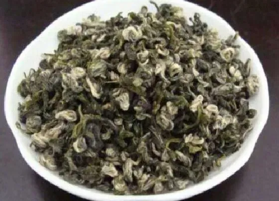 植物常识问题|碧螺春的功效与作用