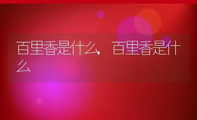 百里香是什么,百里香是什么 | 养殖常见问题