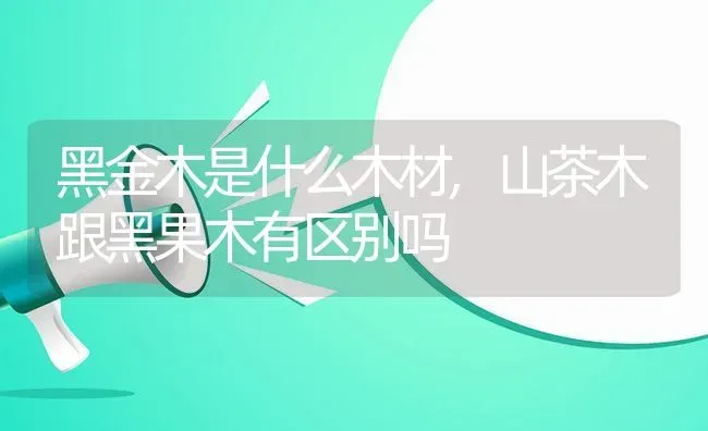 黑金木是什么木材,山茶木跟黑果木有区别吗 | 养殖常见问题