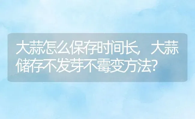 大蒜怎么保存时间长,大蒜储存不发芽不霉变方法？ | 养殖常见问题