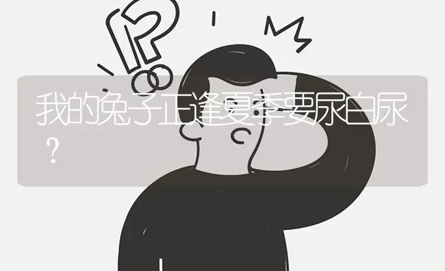 我的兔子正逢夏季要尿白尿? | 养殖问题解答