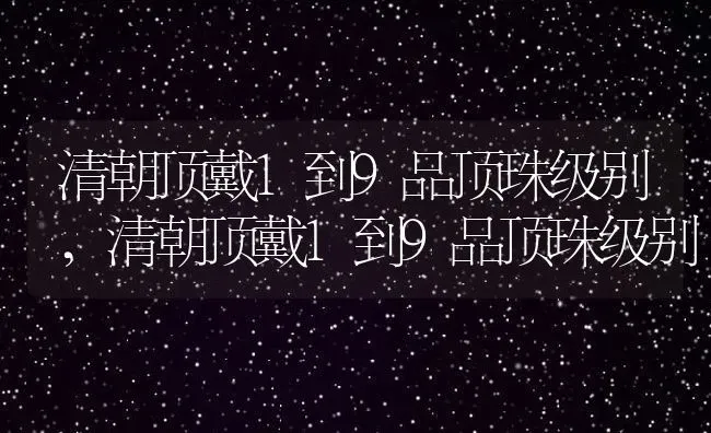 清朝顶戴1到9品顶珠级别,清朝顶戴1到9品顶珠级别 | 养殖常见问题