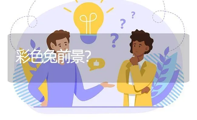 彩色兔前景? | 养殖问题解答