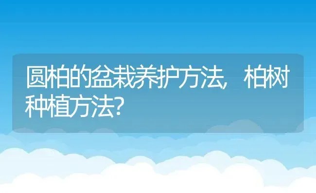 圆柏的盆栽养护方法,柏树种植方法？ | 养殖常见问题