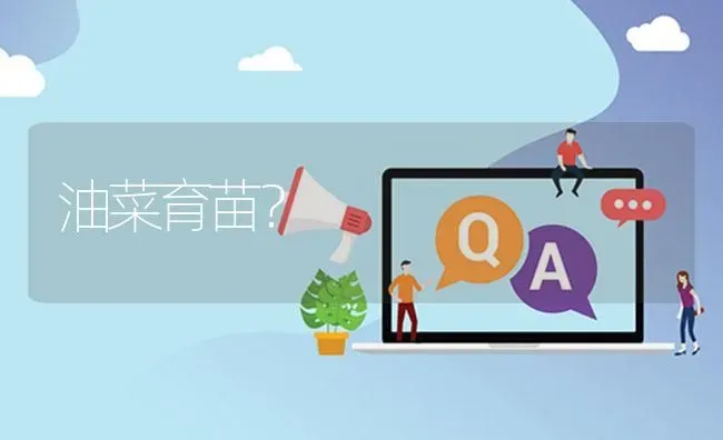 油菜育苗? | 养殖问题解答