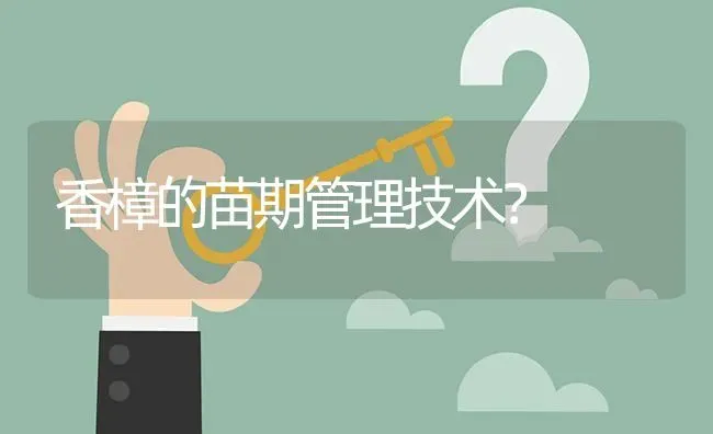 香樟的苗期管理技术? | 养殖问题解答