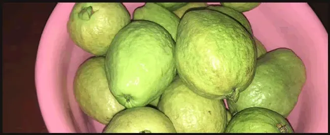 种植30亩石榴收益多少 | 科普知识