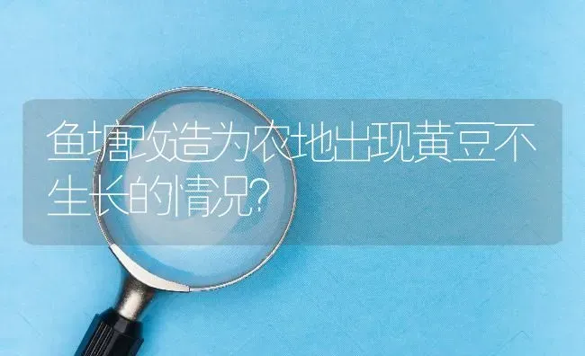 鱼塘改造为农地出现黄豆不生长的情况? | 养殖问题解答