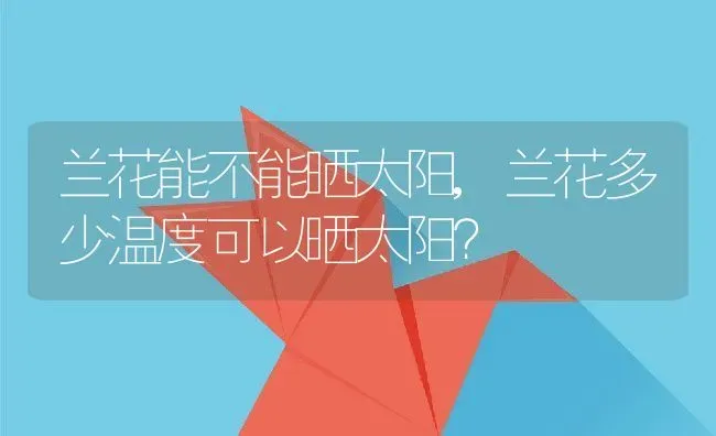 兰花能不能晒太阳,兰花多少温度可以晒太阳？ | 养殖常见问题