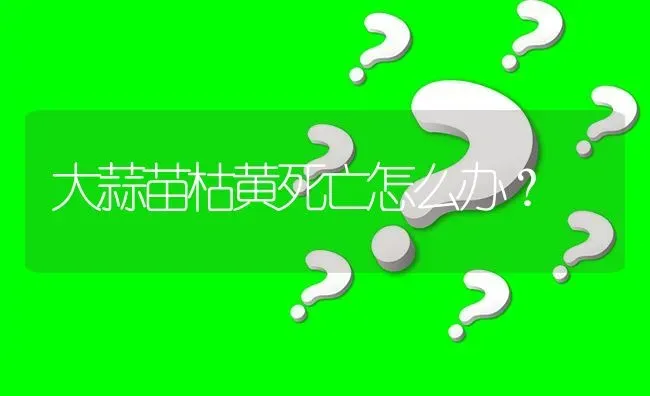 大蒜苗枯黄死亡怎么办? | 养殖问题解答