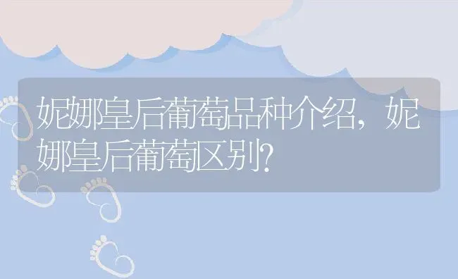 藏红花的种子和栽培方法,藏红花一年四季如何种植？ | 养殖常见问题