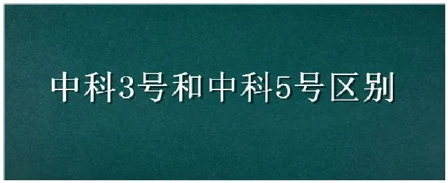 中科3号和中科5号区别 | 农业问题