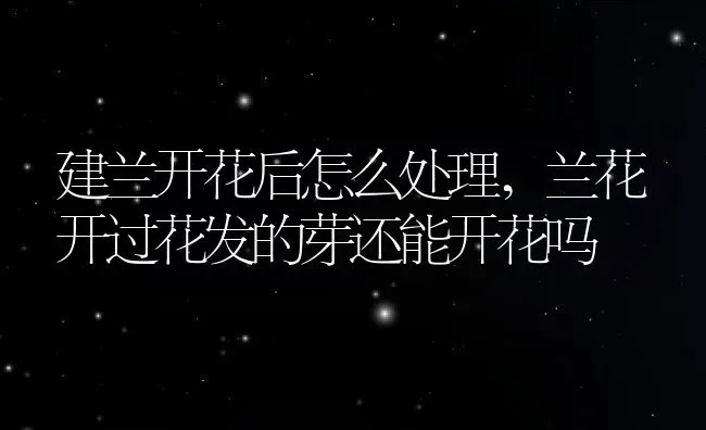 建兰开花后怎么处理,兰花开过花发的芽还能开花吗 | 养殖常见问题