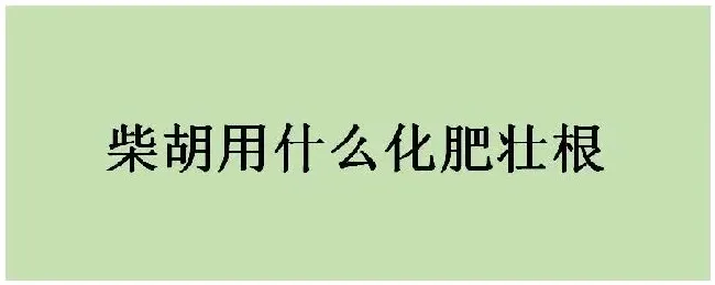 柴胡用什么化肥壮根 | 科普知识