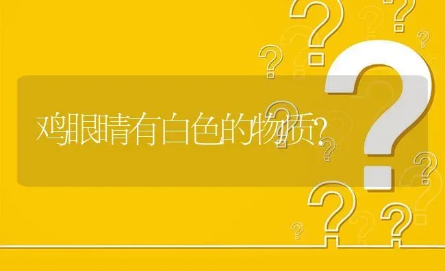 鸡眼睛有白色的物质? | 养殖问题解答