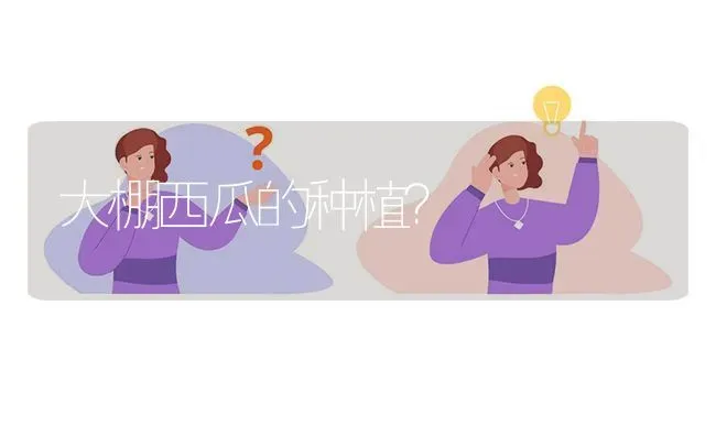 大棚西瓜的种植? | 养殖问题解答