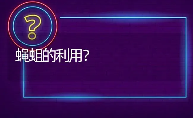 蝇蛆的利用? | 养殖问题解答