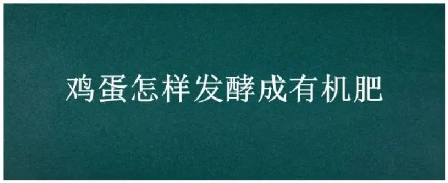 鸡蛋怎样发酵成有机肥 | 农业常识
