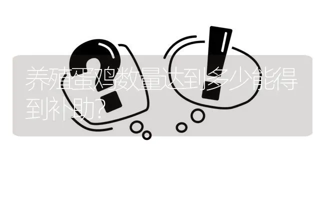 养殖蛋鸡数量达到多少能得到补助? | 养殖问题解答