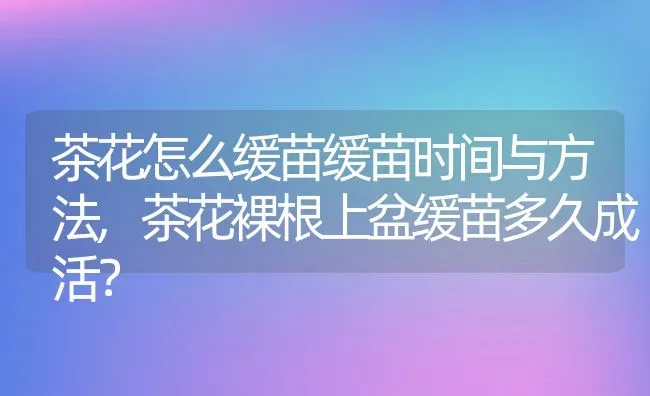 福建师范大学含金量高吗,福建师范大学双学位社会认可吗？ | 养殖常见问题