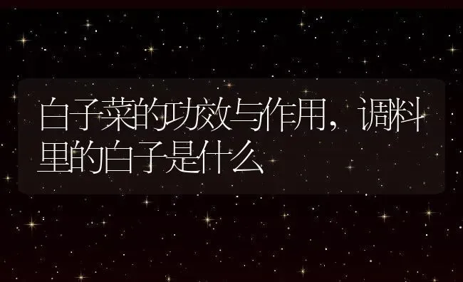 白子菜的功效与作用,调料里的白子是什么 | 养殖常见问题