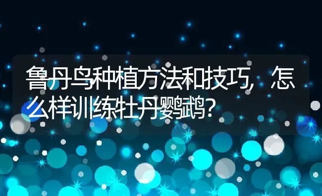 鲁丹鸟种植方法和技巧,怎么样训练牡丹鹦鹉？ | 养殖常见问题