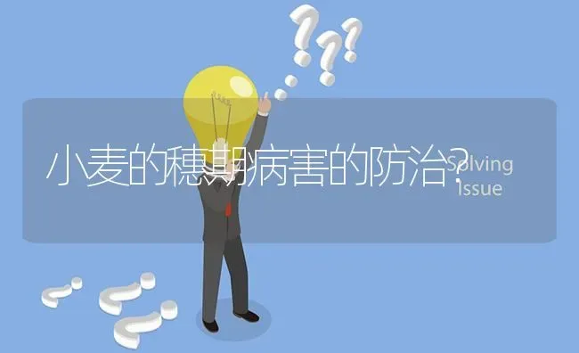 小麦的穗期病害的防治? | 养殖问题解答