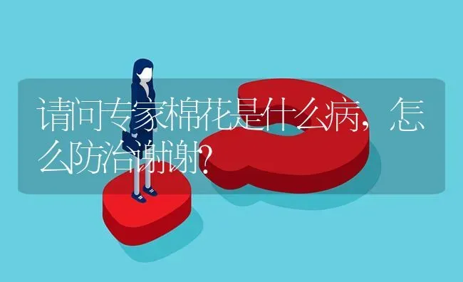 请问专家棉花是什么病,怎么防治谢谢? | 养殖问题解答