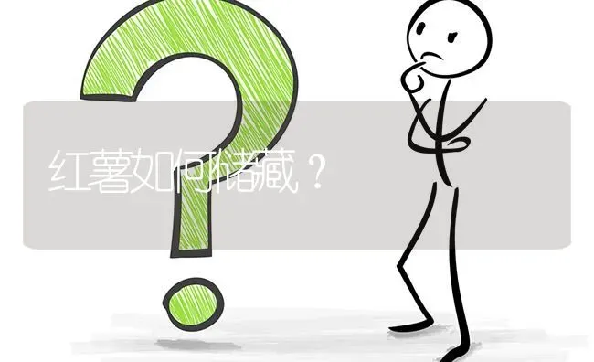 红薯如何储藏? | 养殖问题解答