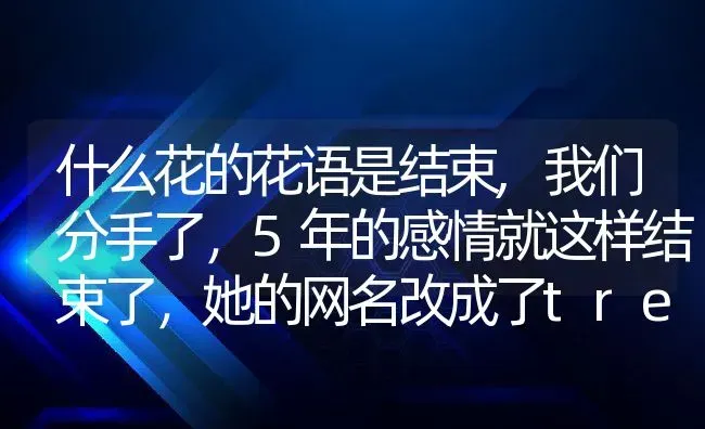 什么花的花语是结束,我们分手了，5年的感情就这样结束了，她的网名改成了tree，除了树木的意思还有别的意思吗？ | 养殖常见问题